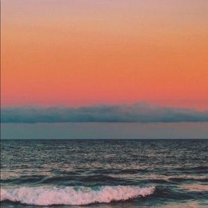 Meet your Posher, Avery